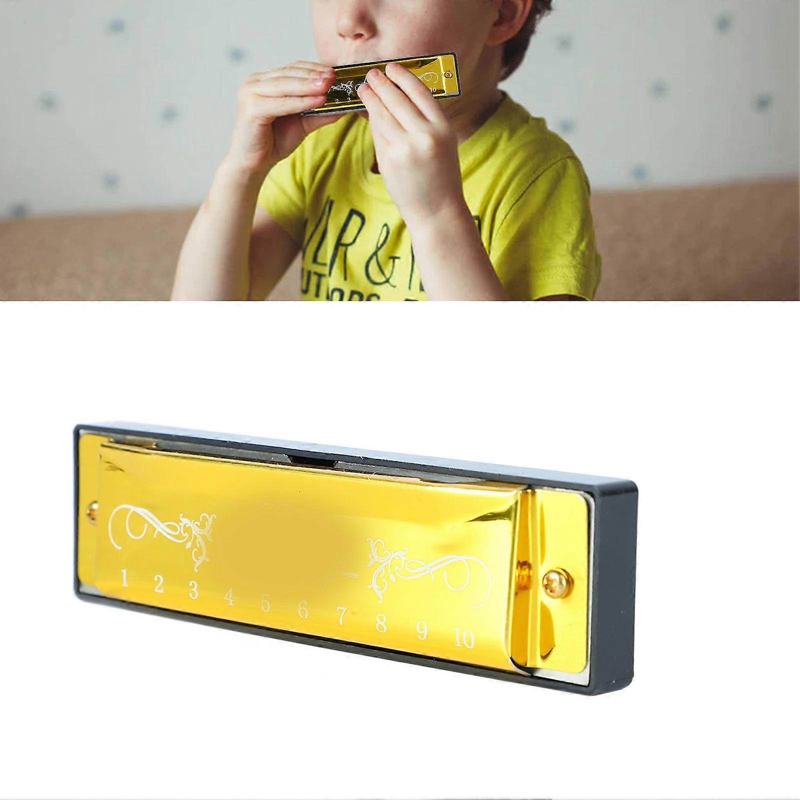 Harmonica 10 Hole 20 Tune C Key Professional Standard Mouth Organ with Case for Kid Beginner Gold 