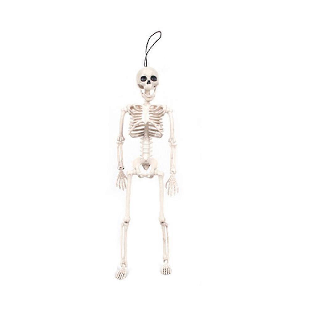 Halloween Skeleton Decorations Skull Skeleton for Decoration