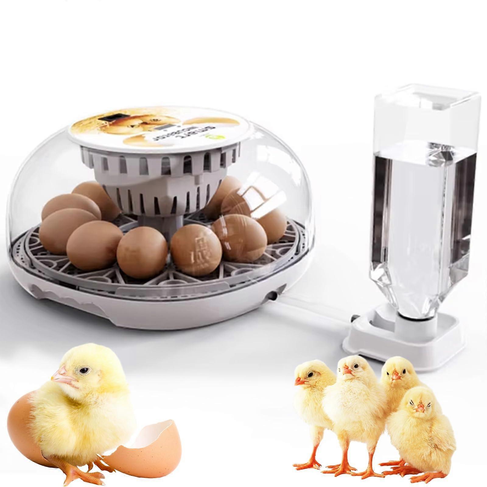 12 Egg Incubator with Automatic Turning and Humidity Control for Hatching Chicken Duck Quail Eggs