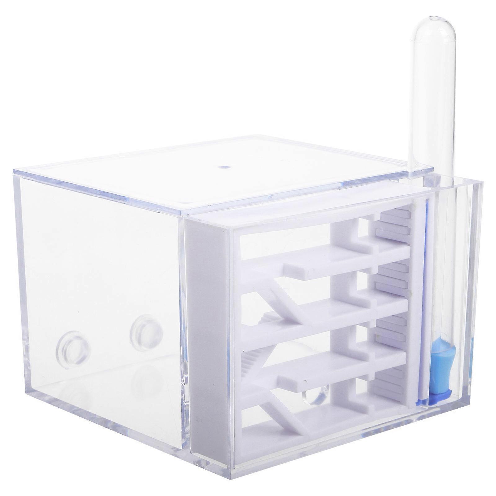 Ants Nest Farm Kit for Study with Transparent Observation