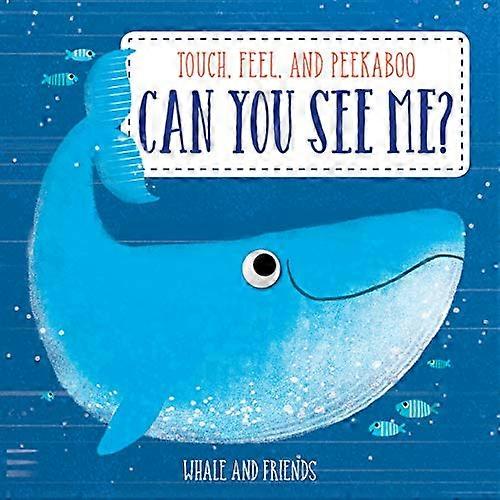 Animal Patterns & Colours: Ocean Animals