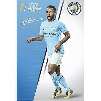 RAHEEM STERLING - MANCHESTER CITY - 2018 Wooden Jigsaw Puzzles - SOCCER FOOTBALL 34293 -A2219