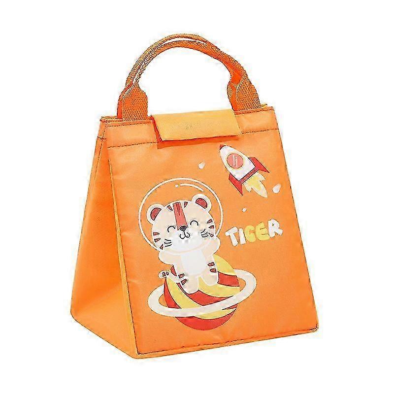 Large Insulated Reusable Lunch Bag