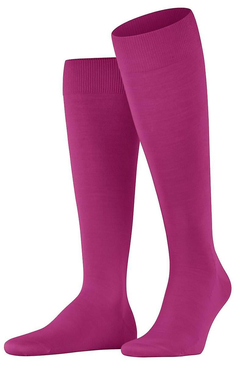 Falke Climawool Knee High Socks - Berry Pink