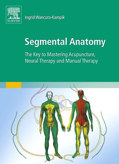 Segmental Anatomy by Ingrid WancuraKampik Paperback