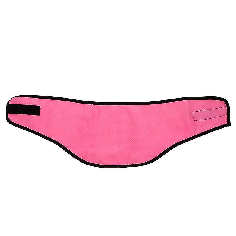 1pcs Pet Cooling Collar