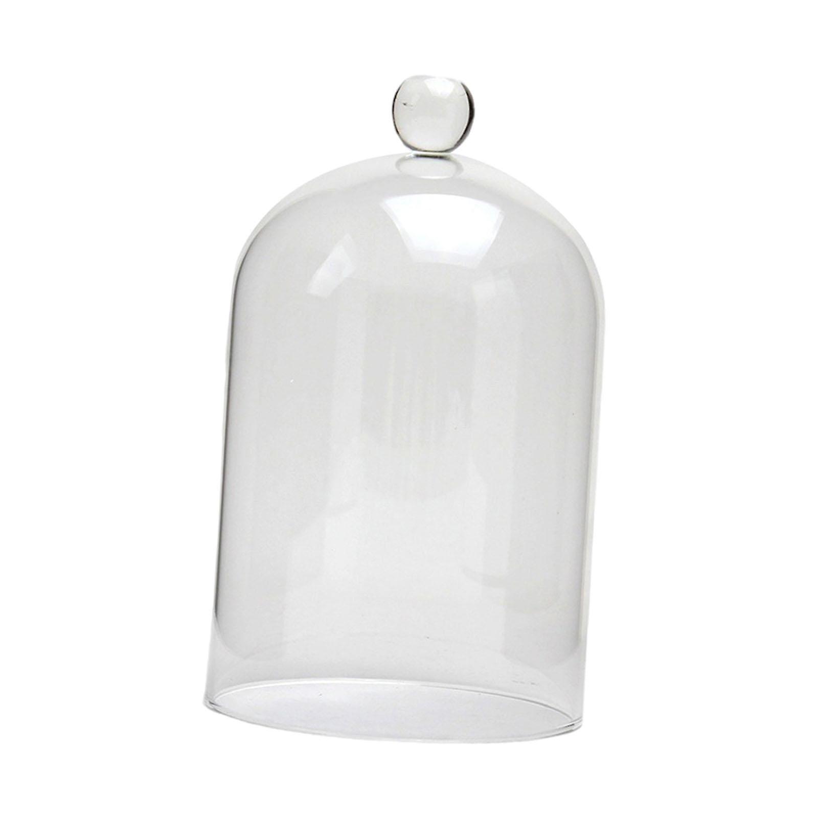 Glasskydd med konserverade blommor, elegant för jul, vardagsrum, årsdagar, M