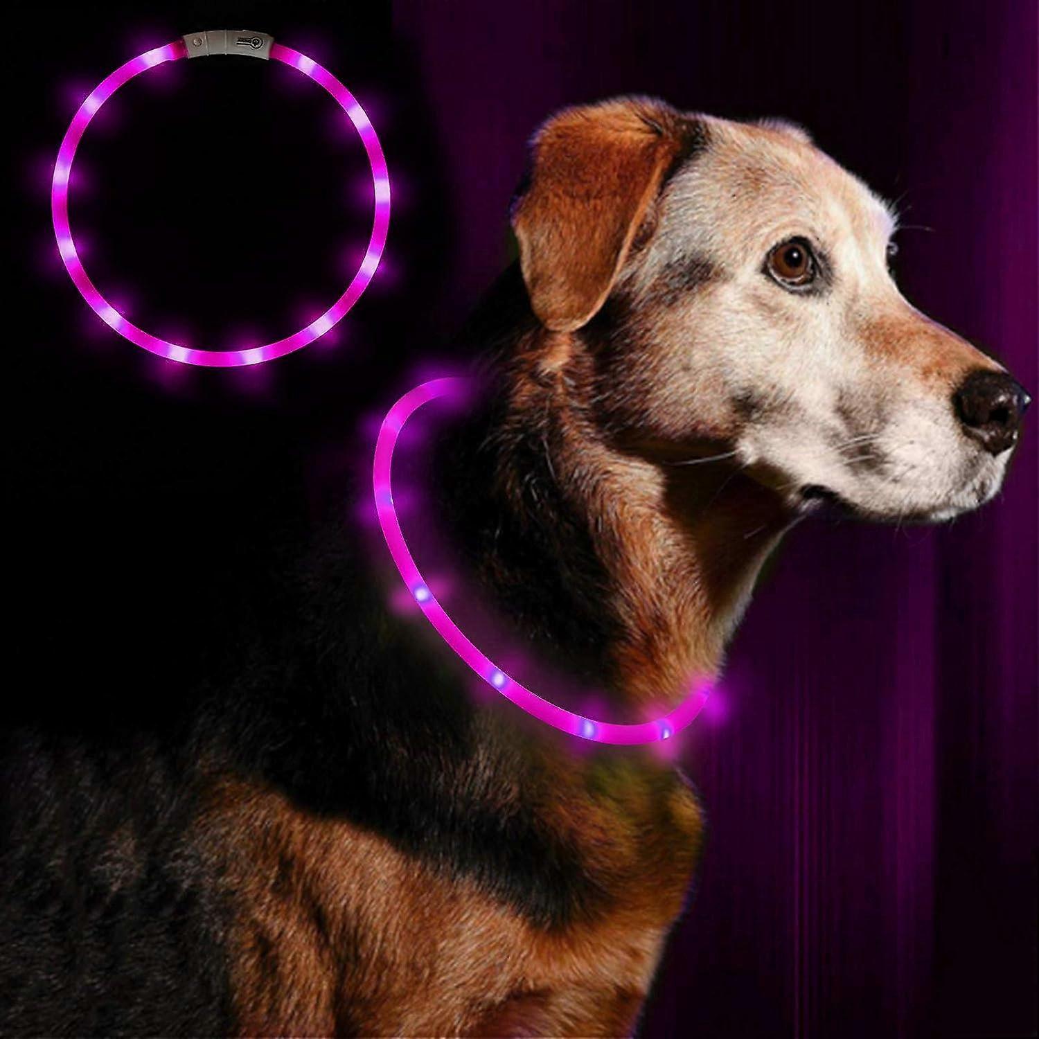 Light Up Dog Collar, Silicone LED Cat Collar, Rechargeable Lighted Pet Collar Light Glow in The Dark