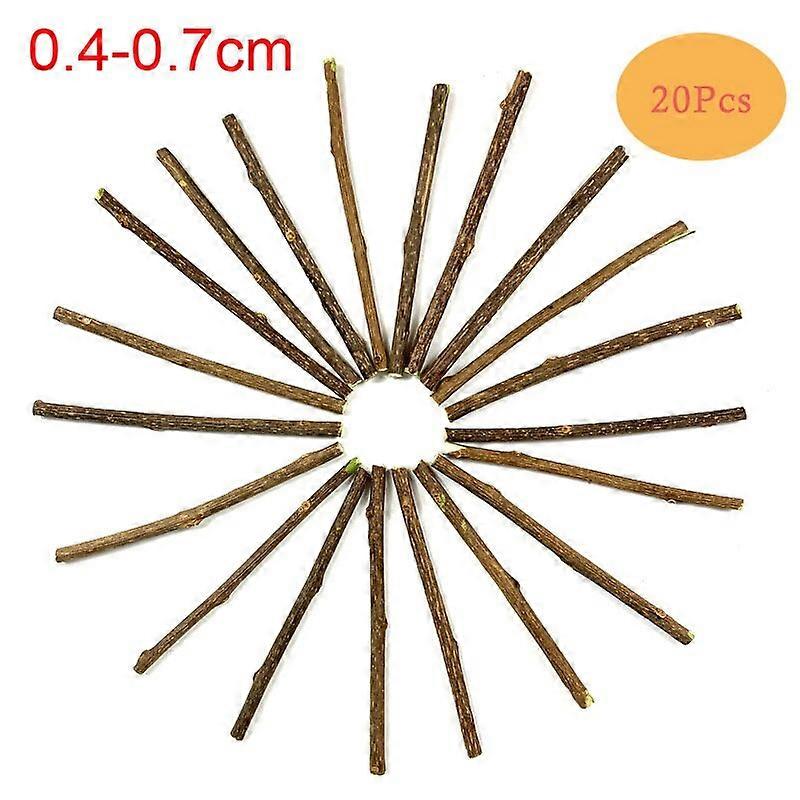 10/15/20pcs/lot Natural Matatabi Pet Cat Snacks Sticks Cleaning Tooth Catnip Cat Toys Actinidia Silvervine Pet Toy For Cats Dog Supplies