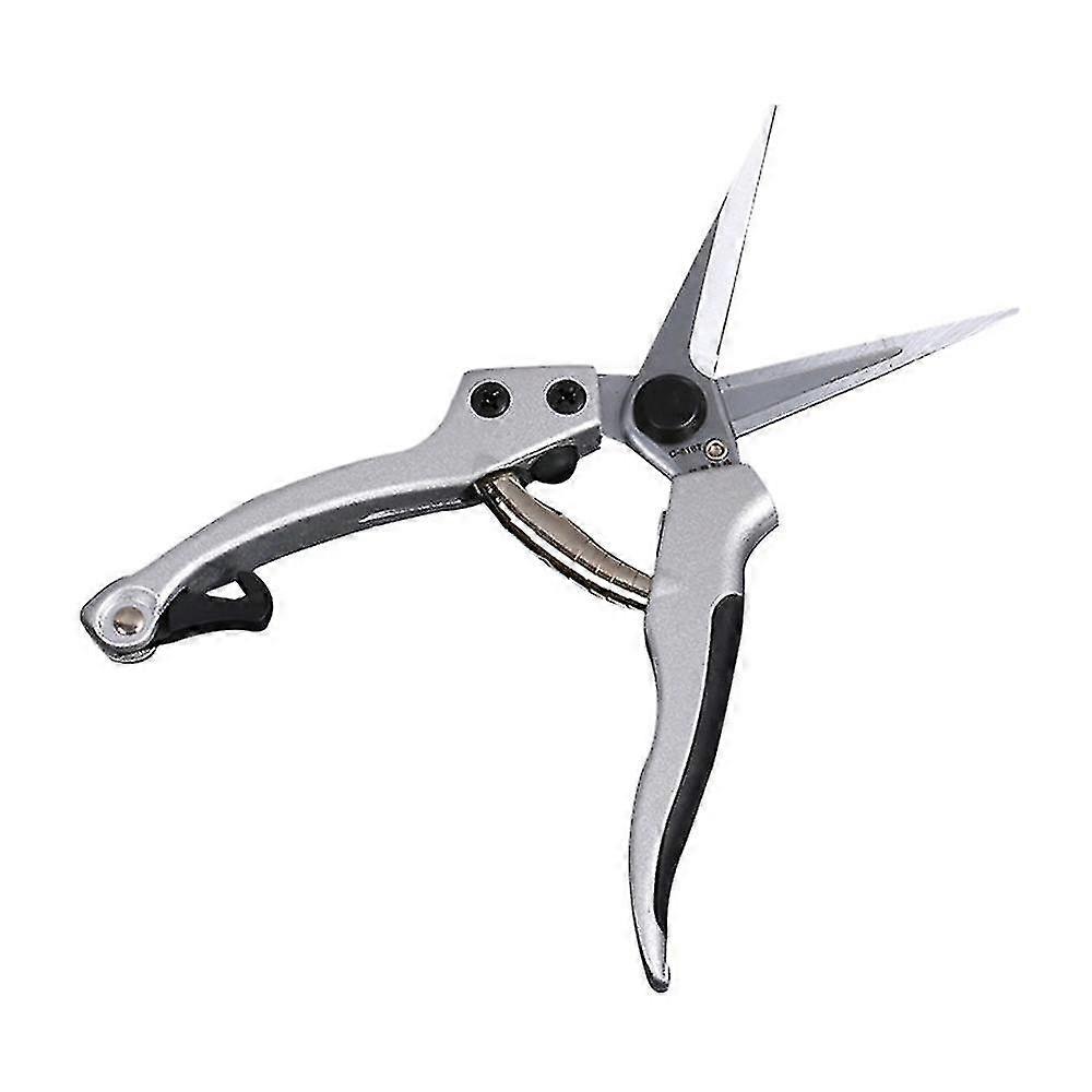 Pruning Shearsflt Scissors, -tas En Snips For Arranging Flow -