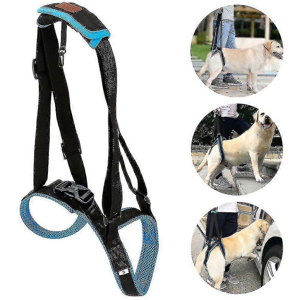 Harnais de levage de chien pour pattes arrière Fronde de soutien portable pour animaux de compagnie pour aider à soulever des chiens Écharpe arrière pour blessure d’invalidité Chien de haute qualité