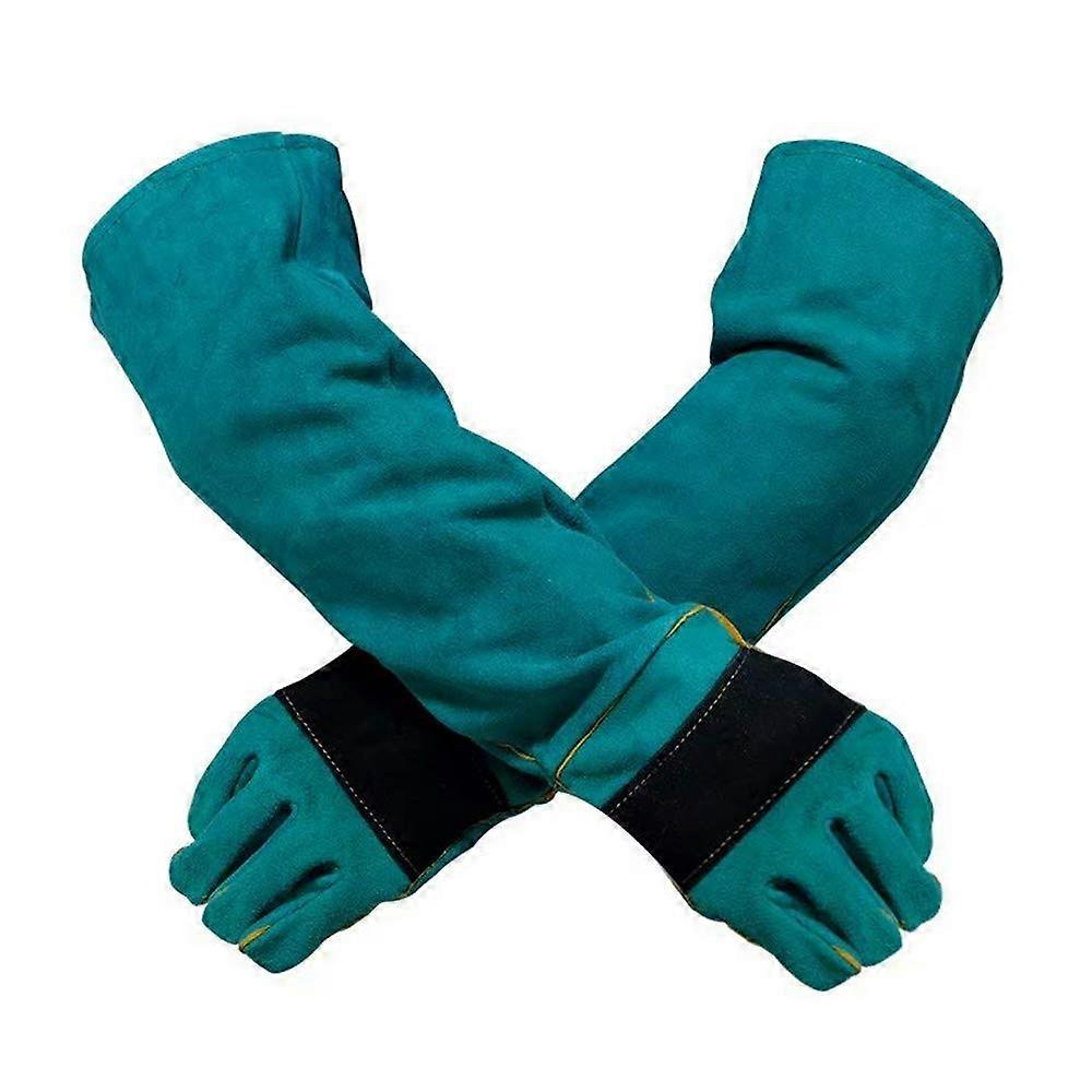 Dog Cat Bird Anti-Scratch Gloves for Pets - Green, Durable Material, Universal Size, Effective Protection Against Scratches