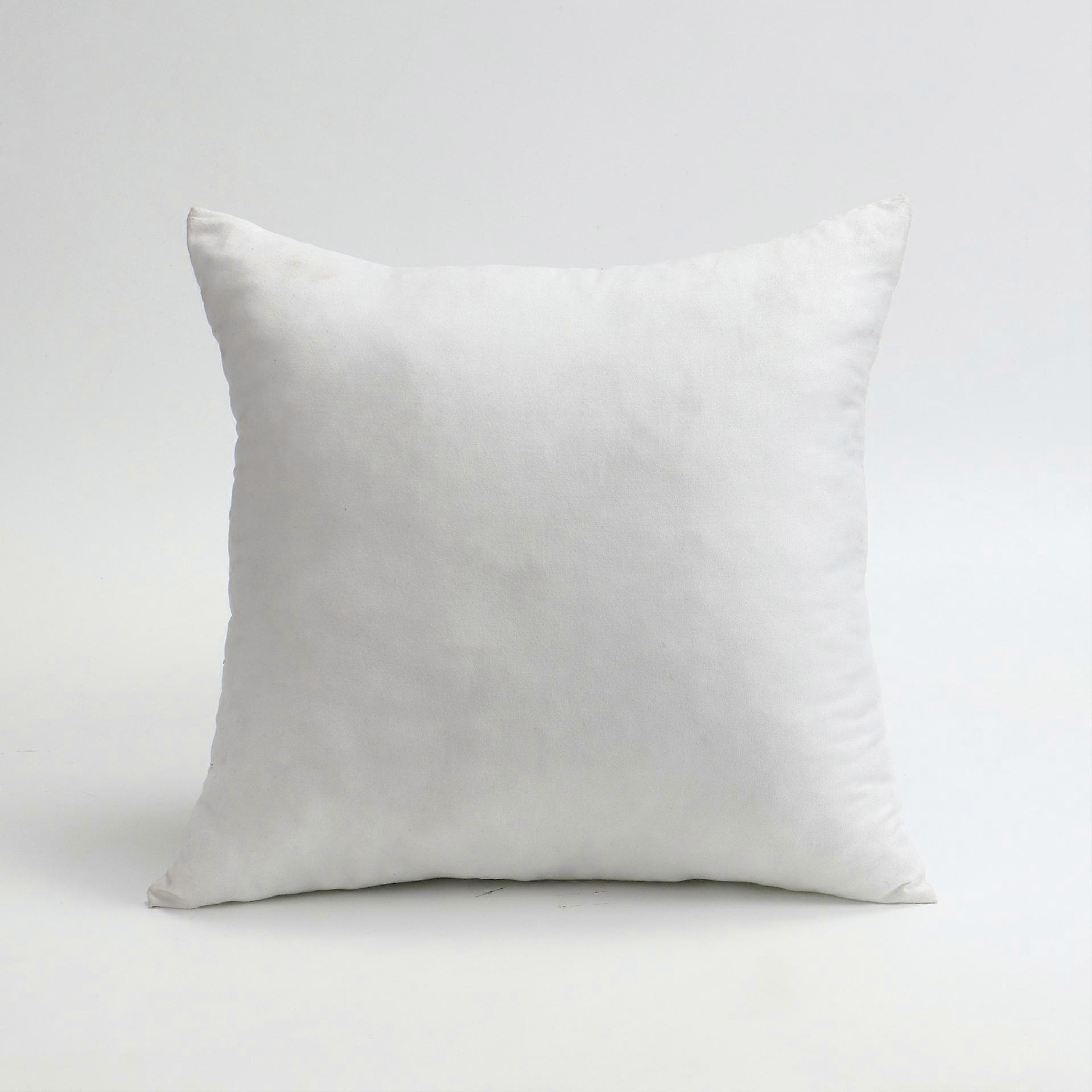 Mini Hypoallergenic Pillow Insert 8 x 8 Inch, 10 Pack Decor Pillow Inserts For Home Decor