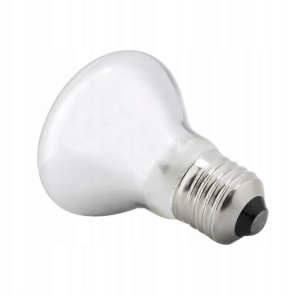 Daytime Heating Bulb 75w E27