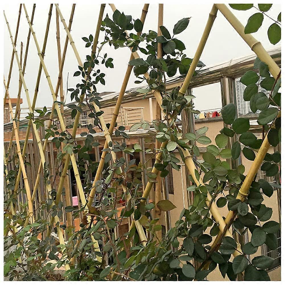 Natural Bamboo Trellis with Rivets, Expandable Plant Support Lattice Fence Panel (90x200cm)