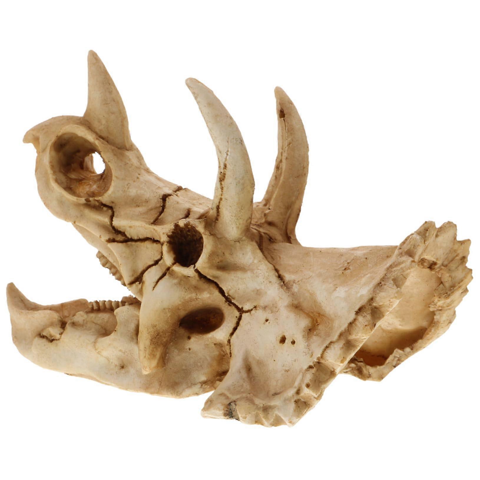 Decorative Dinosaur Skull Fish Tank Decor for and Hideout for Aquariums and Table Decoration