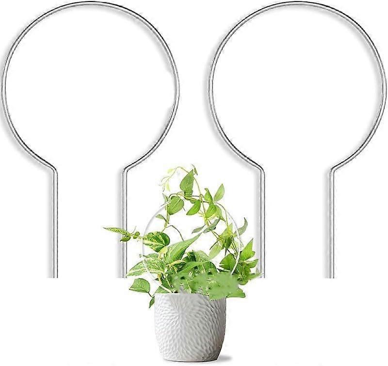 Set of 2 acrylic climbing frames for climbing plants vines