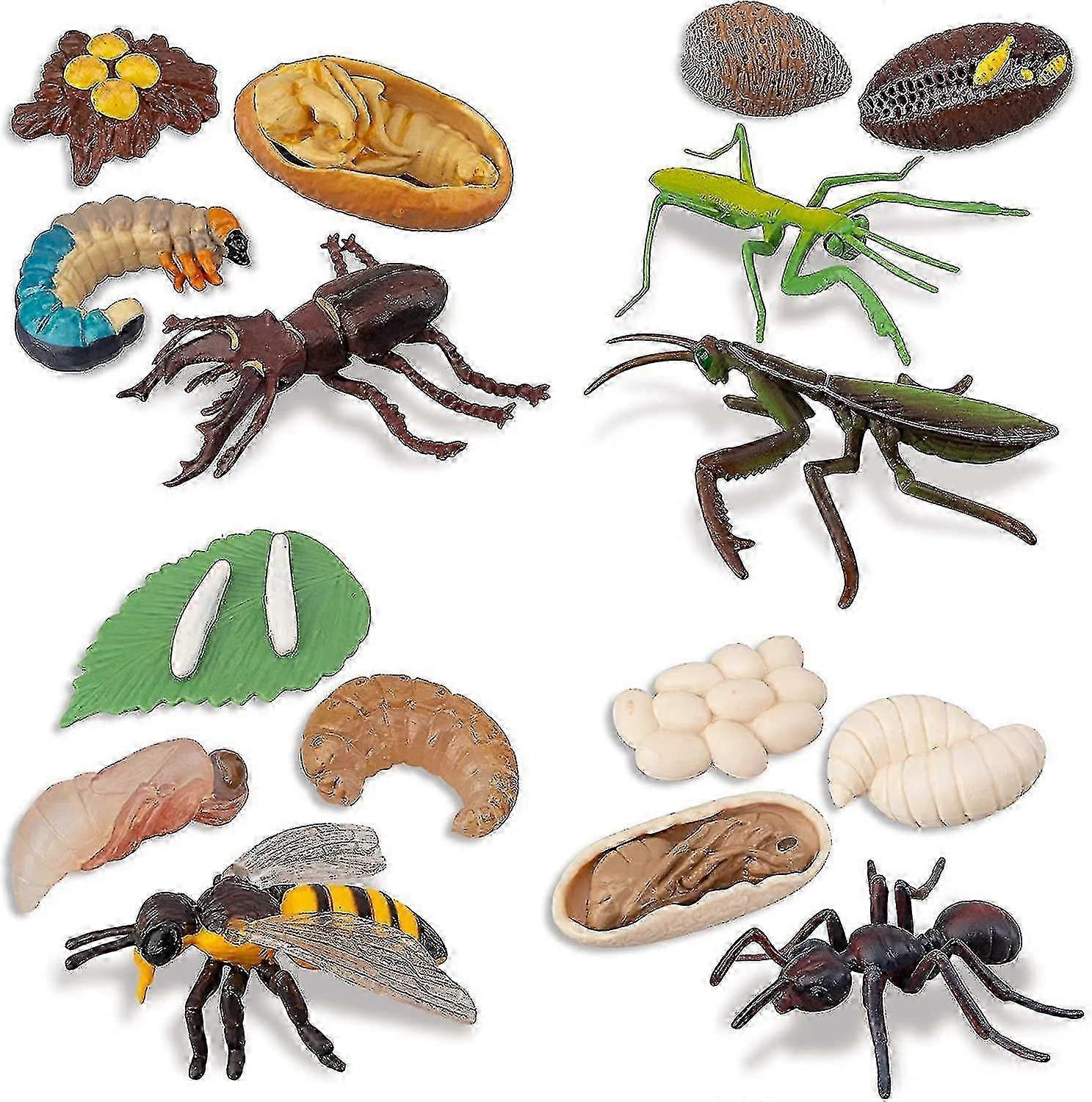 Educational 16-Piece Insect Figurine Set  UK-Friendly Life Cycle Models
