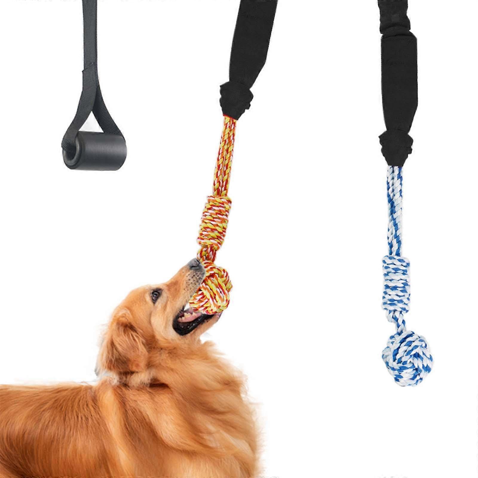 Dog Outdoor Hanging Toy, Interactive Tether Tug Toy for