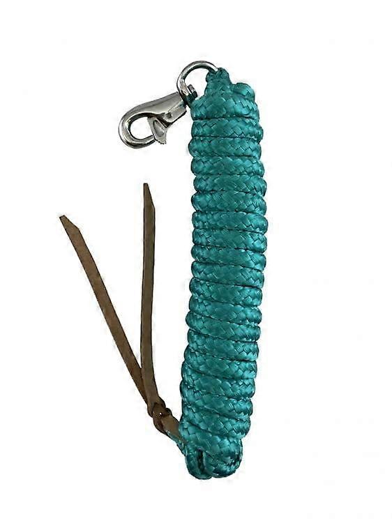 14' Nylon Pro Braid Training Lead (Teal)