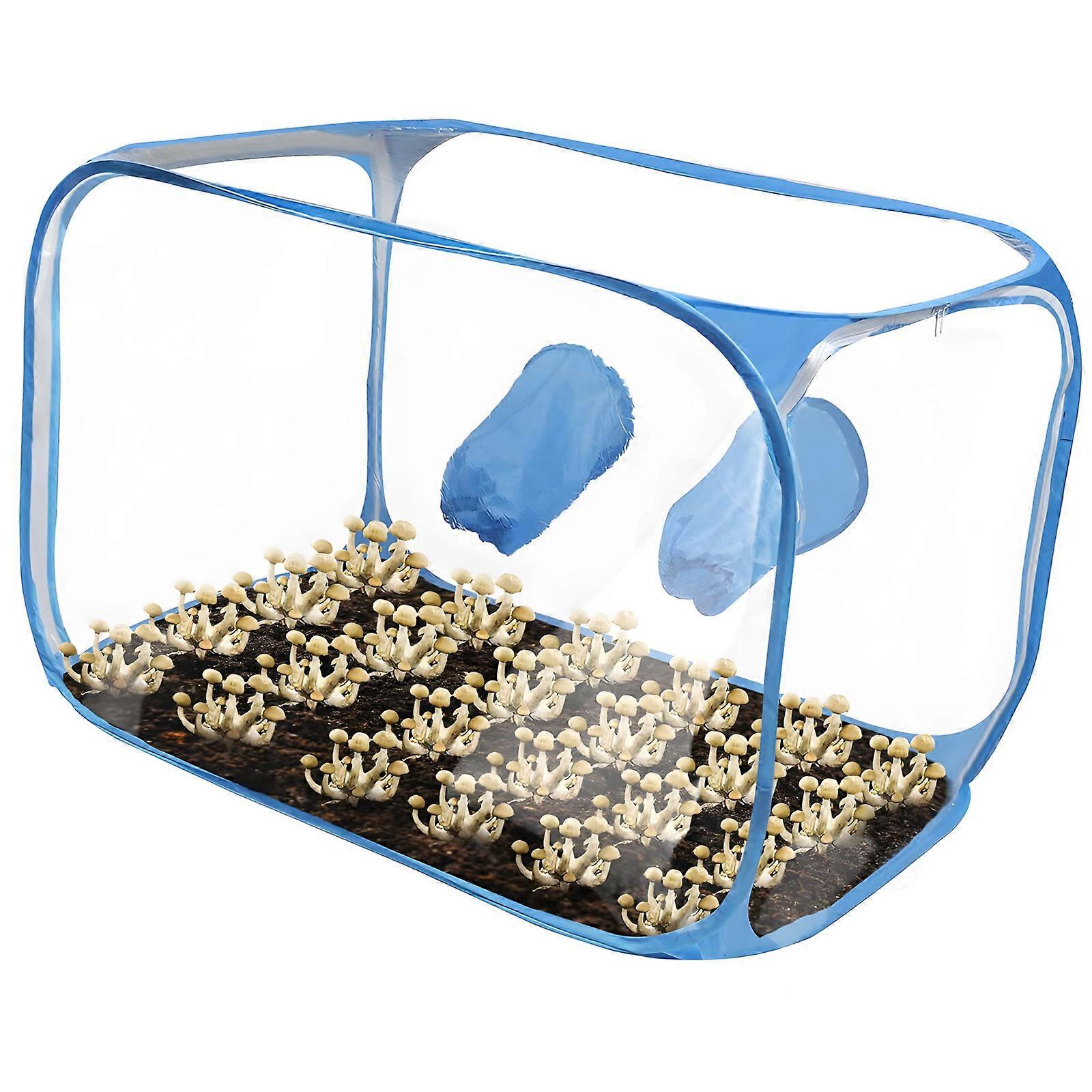 Transportable Closed Biography Chamber Mushroom Cultivation Container Collapsing Plan Lab Consistent Environment Permanent Building  White