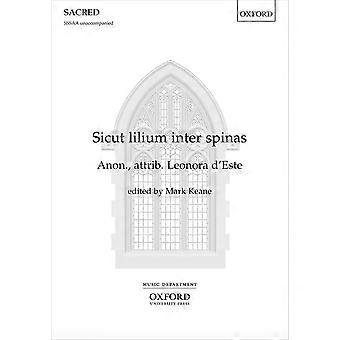 Sicut lilium