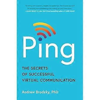 Ping : Die Geheimnisse erfolgreicher virtueller Kommunikation