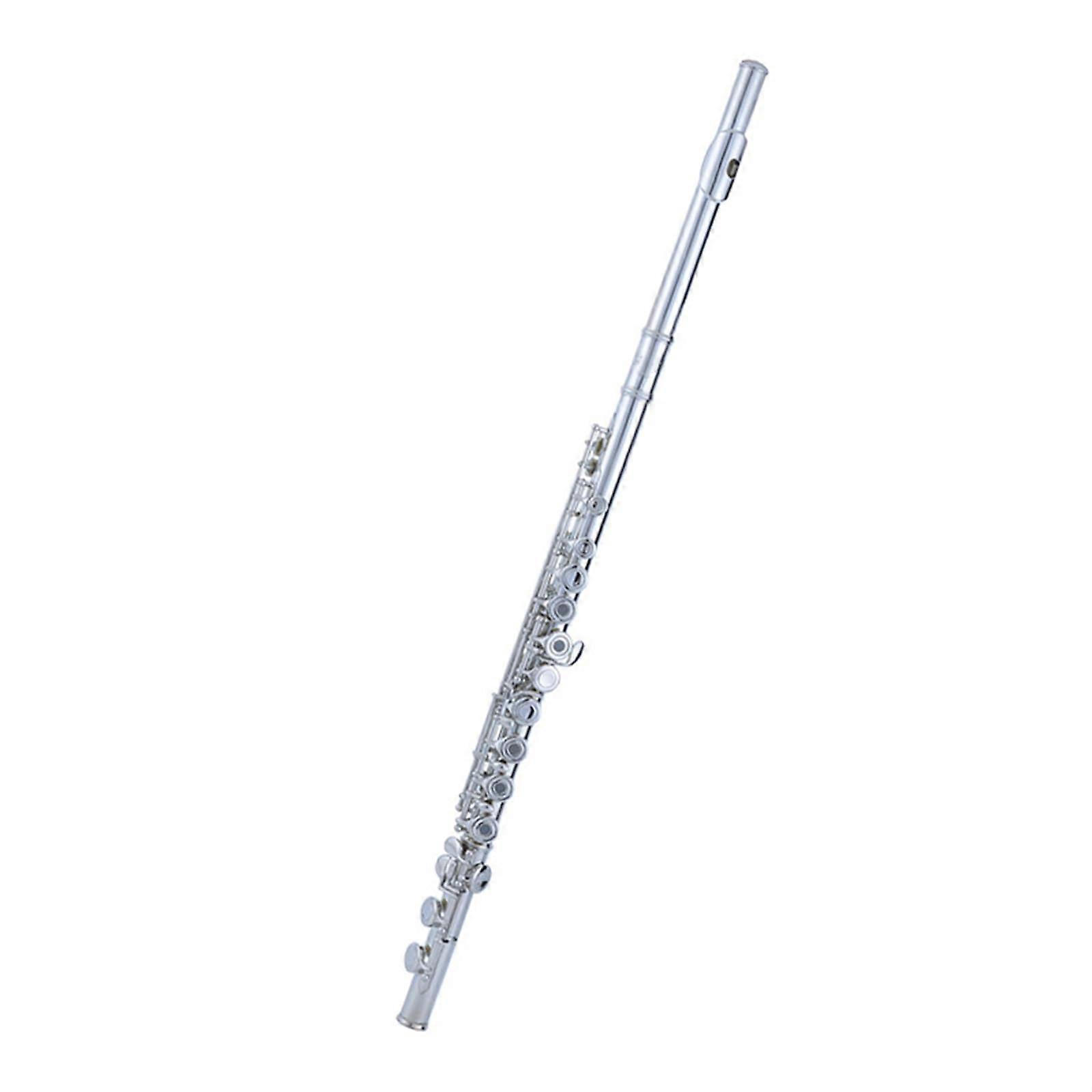 Beginner Flute Kit 16 Hole Silver Plated Student Flute with Split E and C Keys for Learning