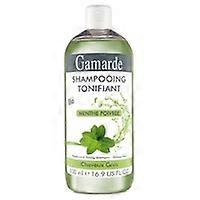 Toning Shampoo Mint (Fat) Bio 500 ml