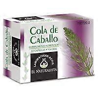 Horse tail 60 capsules