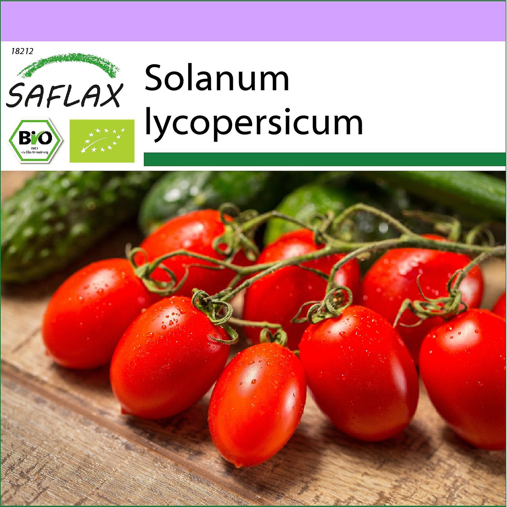 Saflax - 15 seeds - Organic - Tomato - Roma - BIO - Tomate - Roma - BIO - Pomodoro - Roma - Ecológic