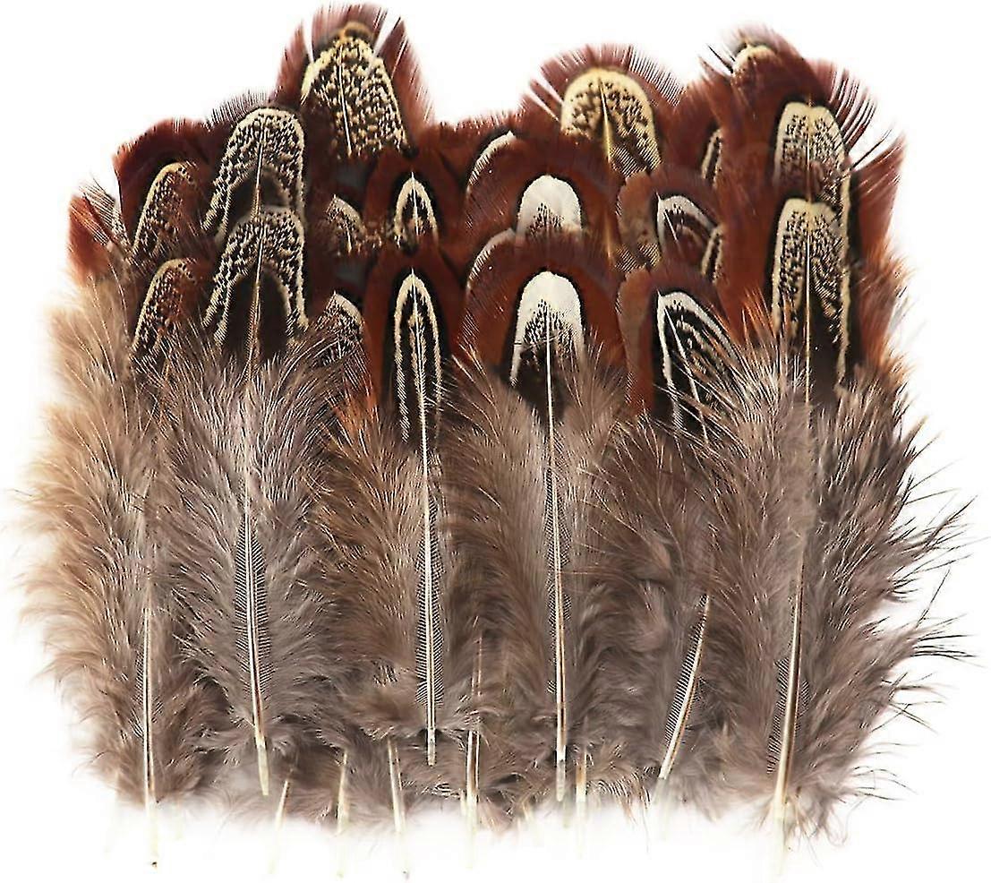 100 جهاز كمبيوتر شخصى 2-3 بوصة الريش الدراج الطبيعي السائبة ألوان مختلفة ريشة طبيعية الحرف الملابس قبعة الخياطة تزيين