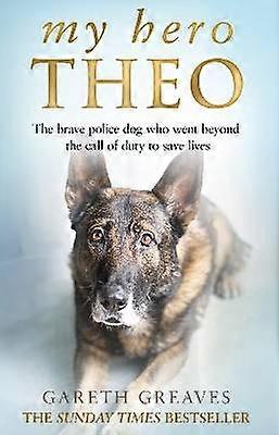 My Hero Theo