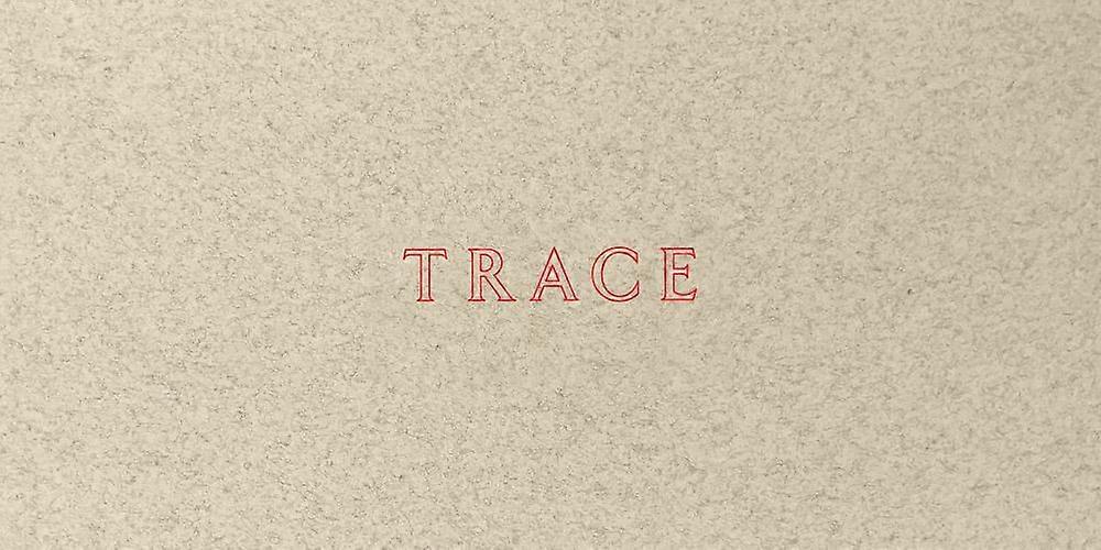 Jenny Holzer Trace Paperback