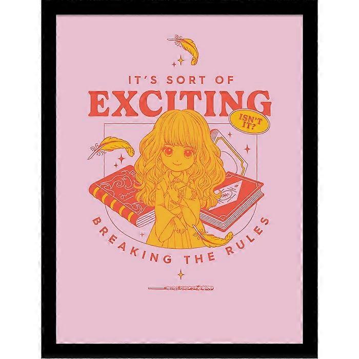Harry Potter Witty Witchcraft Breaking The Rules Framed Poster