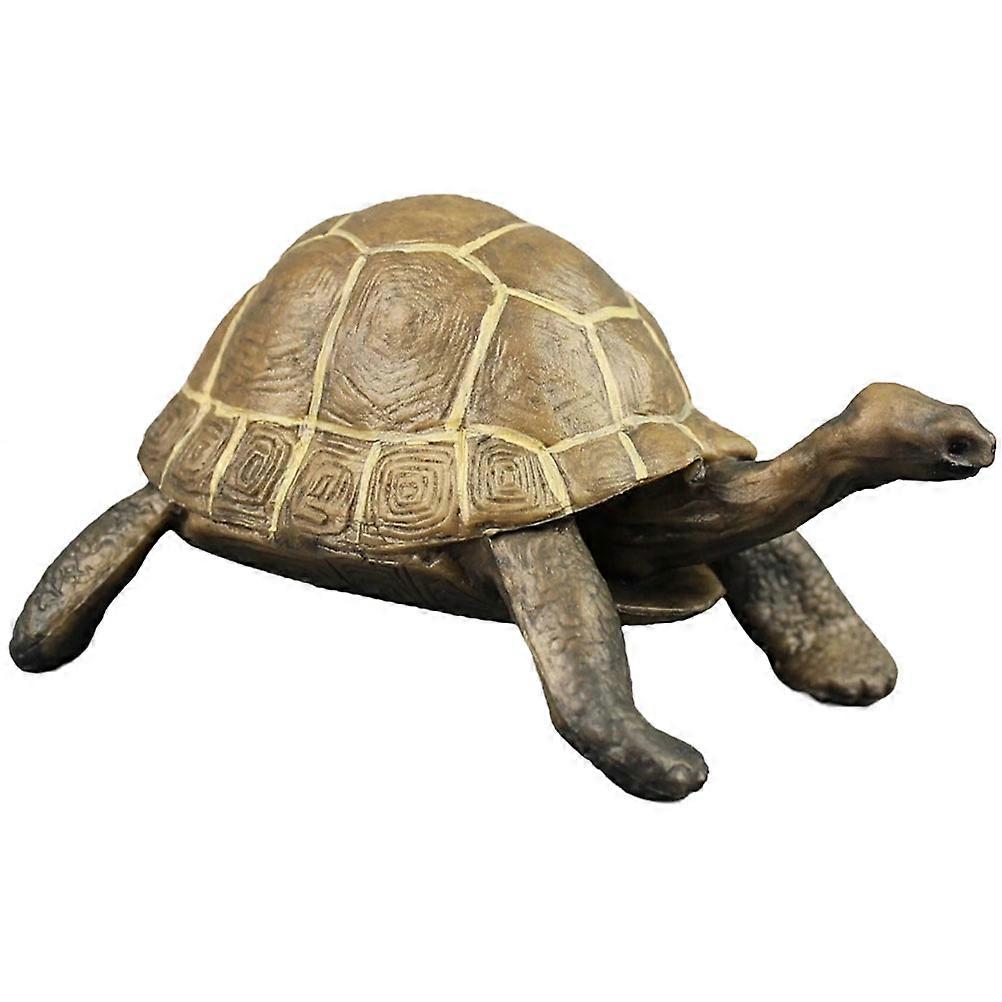 Plastic Turtle Model Realistic Tortoise Toy for Cognitive Use 2Pcs Brown Figurines