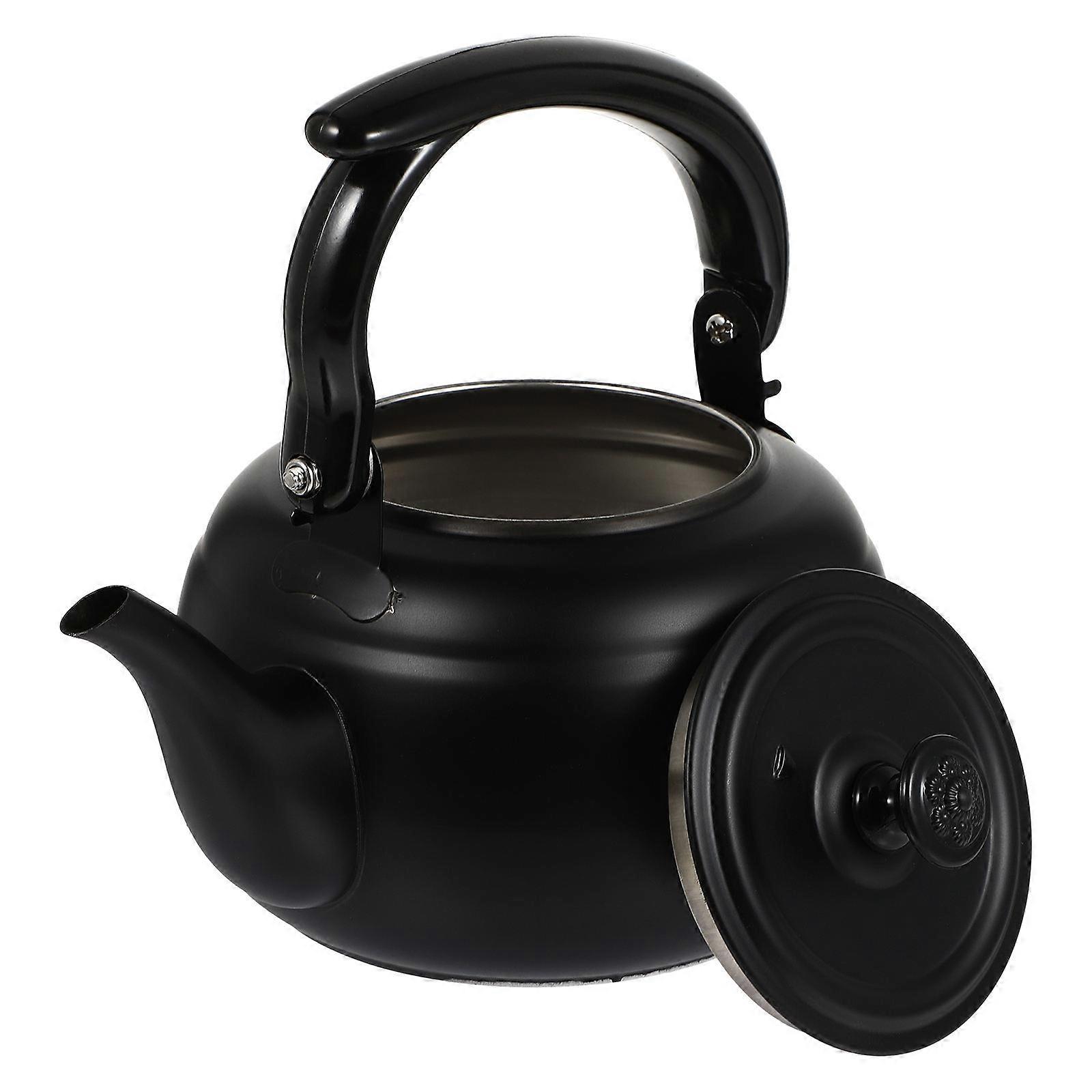 Tea Kettle Stainless Steel Teapot for Tea 2Pcs Removable Infuser