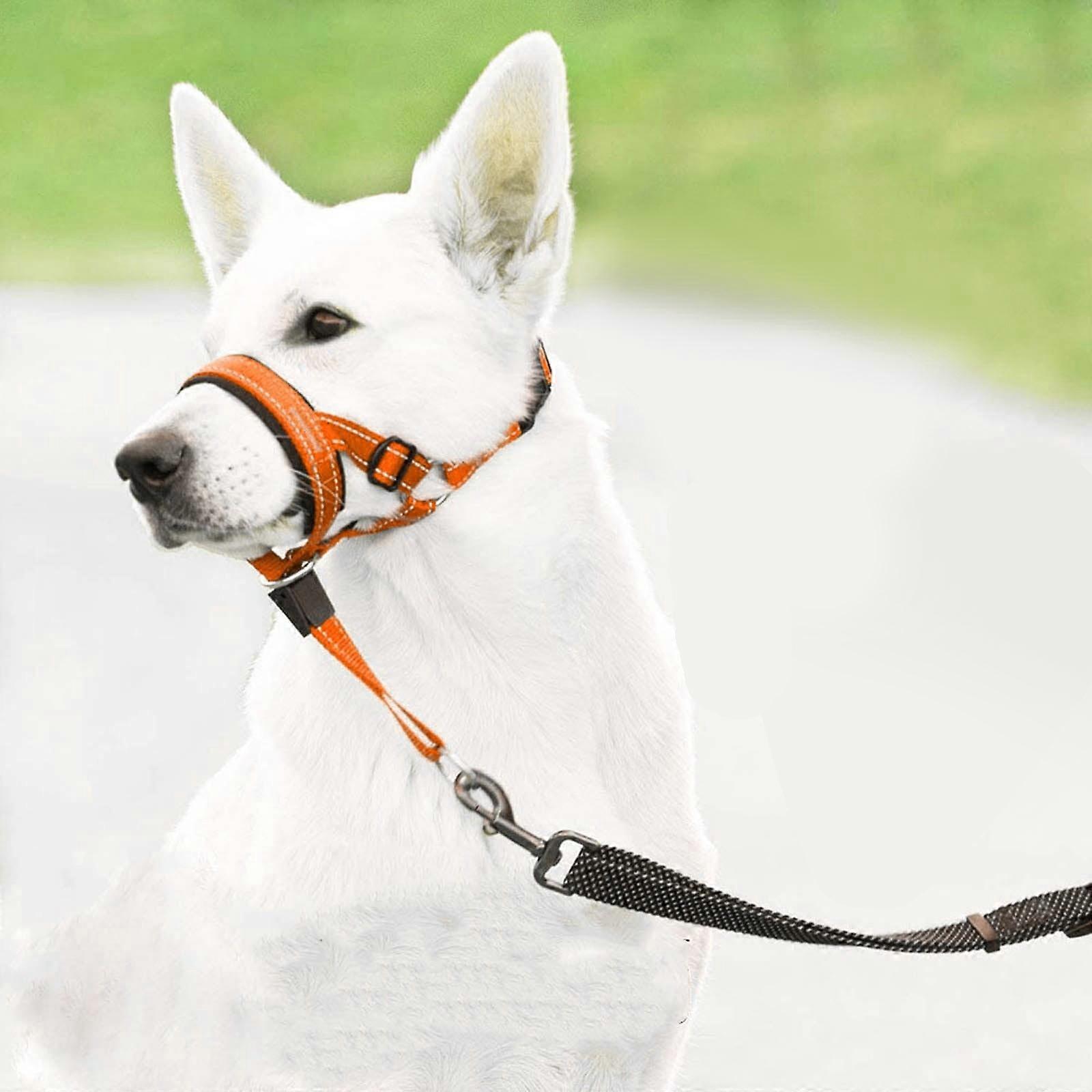 Dog Head No Pull Head With Soft Padding Ideal For Leash And Harness Training Heavy Leash Pulling For Easy Walking Orange Blue Red Pet Essentials
