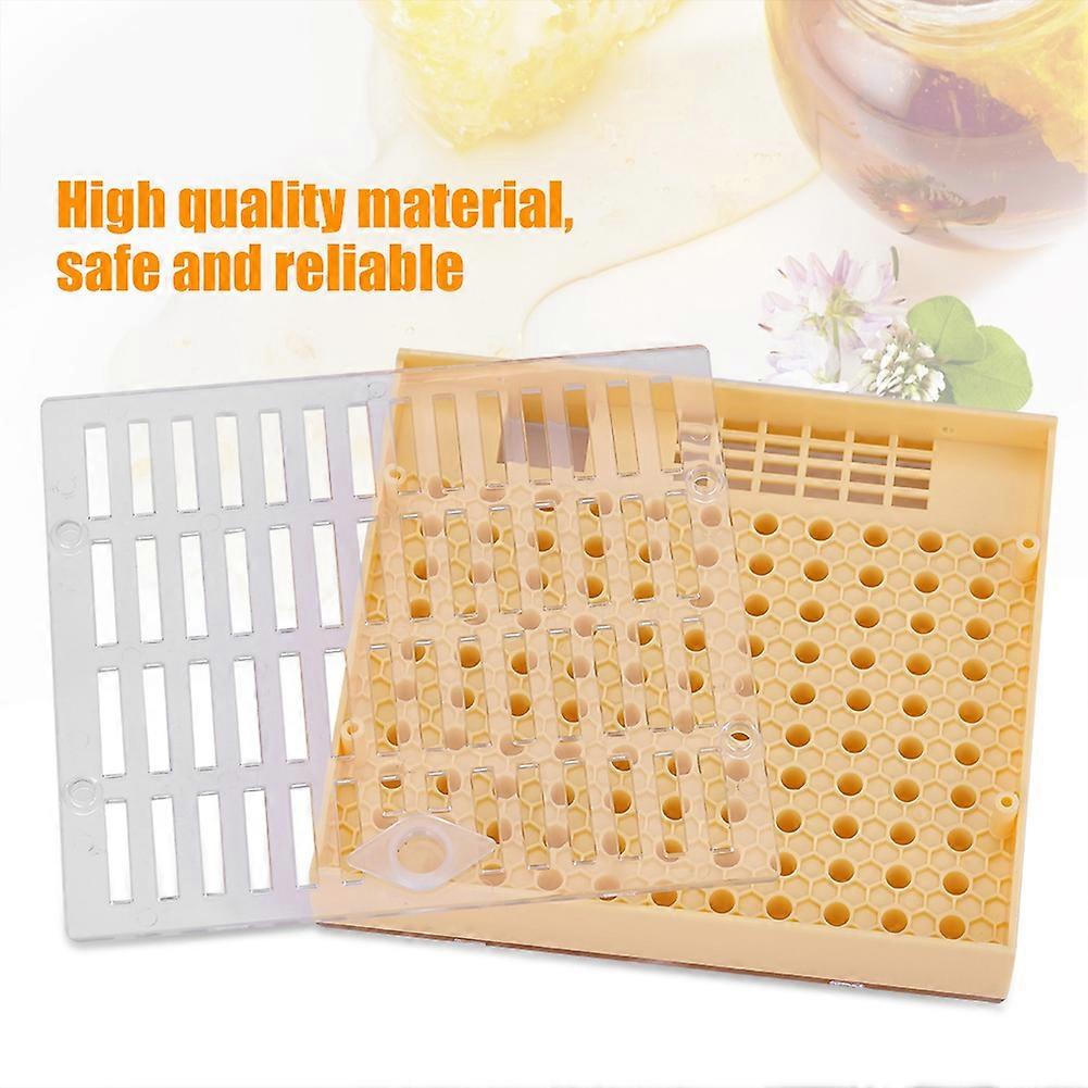 Bee Queen Rearing Cell Cupkit Box Case For Cupularve System Beekeeping Tool