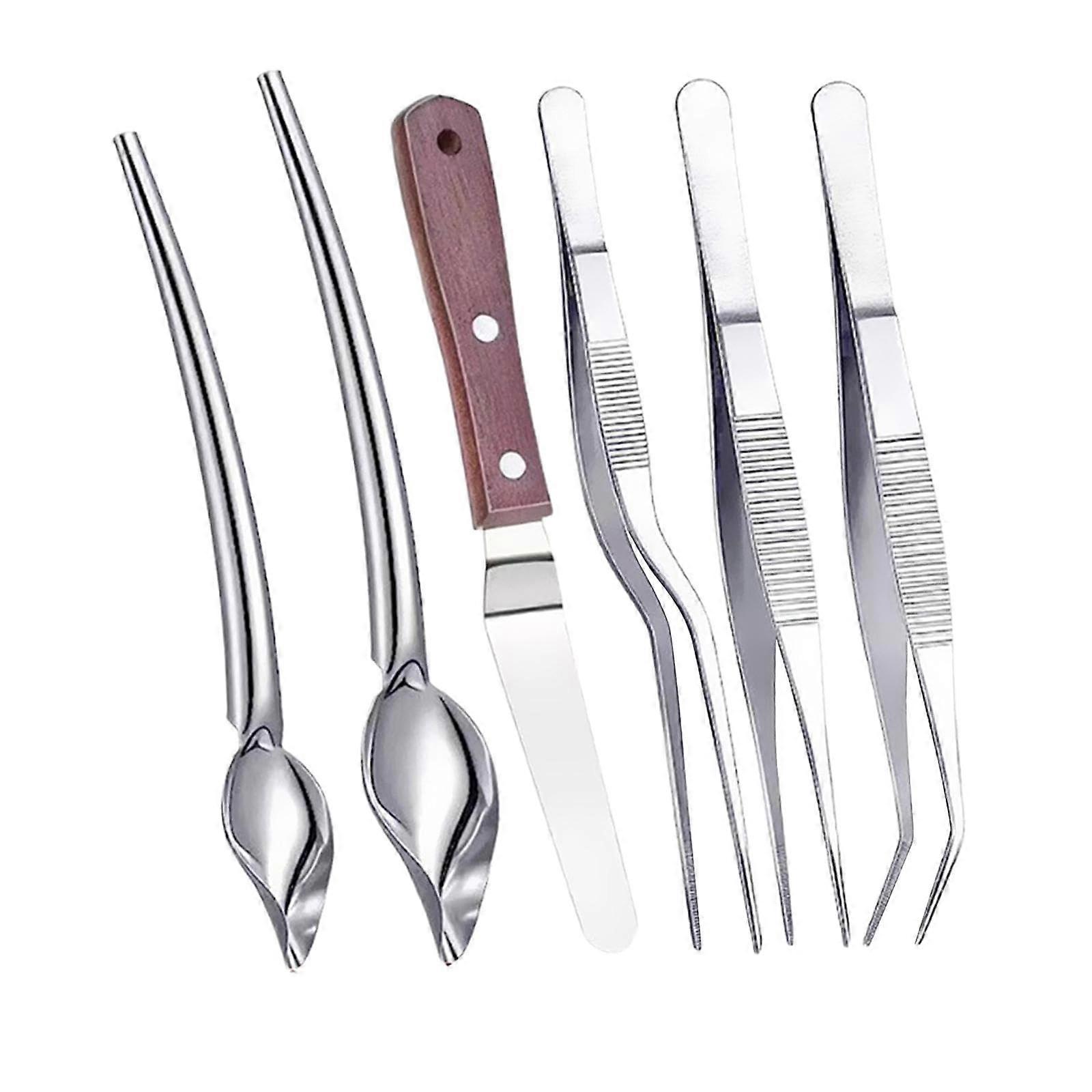 Stainless Steel Cooking Tweezers Set 6pcs Professional Plating Tools for Precision Food Presentation