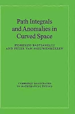 Path Integrals and Anomalies in Curved Space