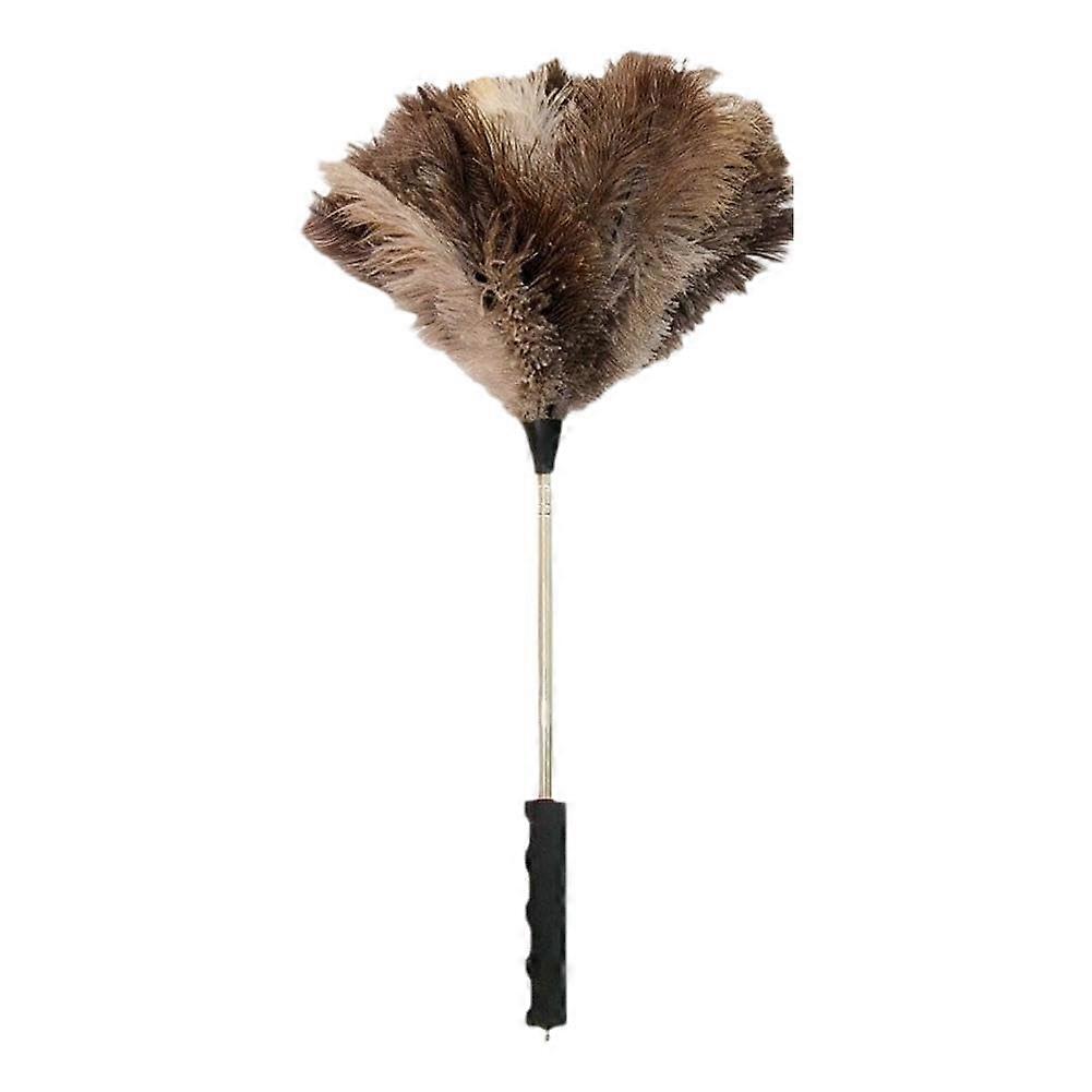 Extendable Ostrich Feather Duster with Adjustable Long Handle for  Ceilings, Reusable Black