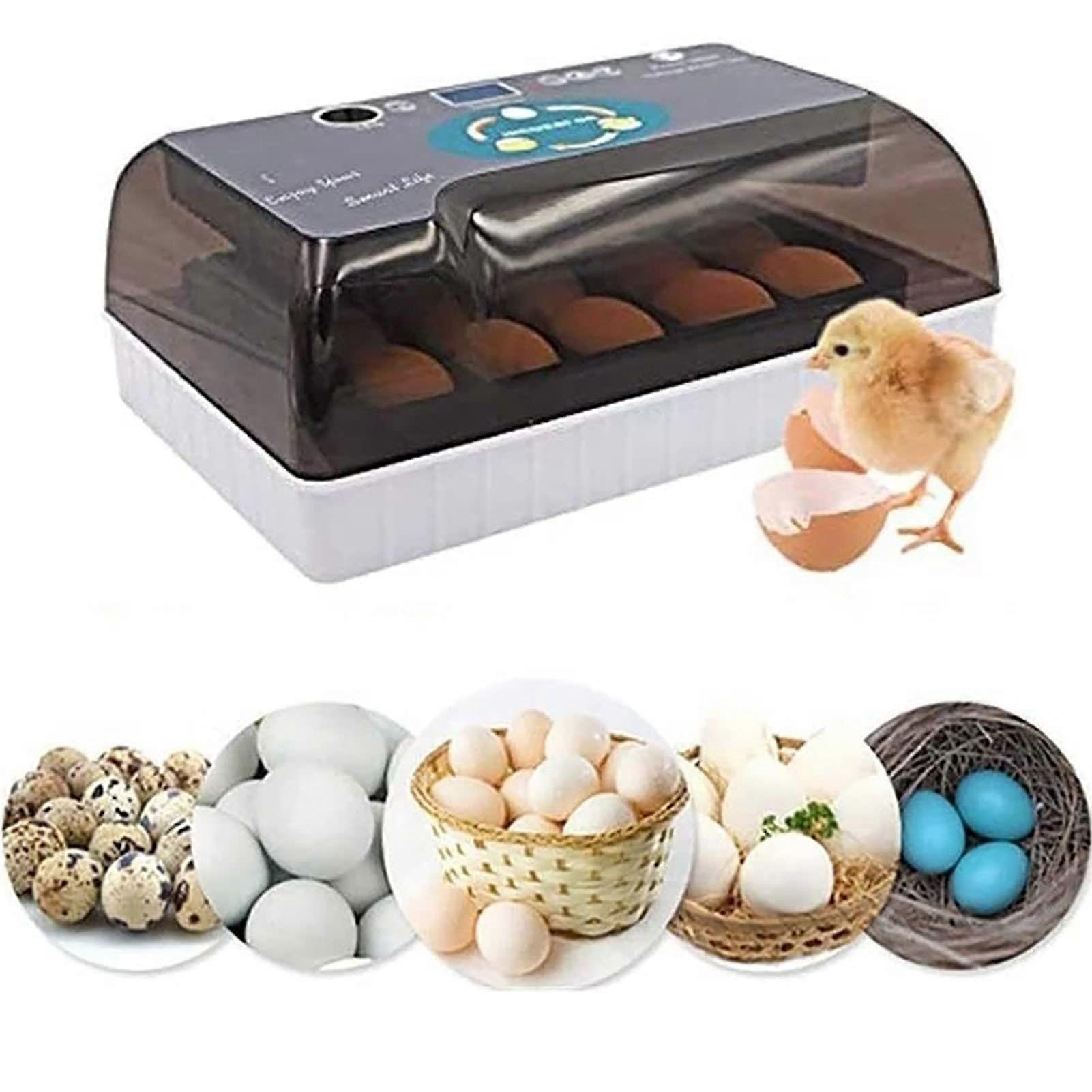 Automatic 12 Egg Incubator with Digital LED Display for Hatching Chicken and Duck Eggs