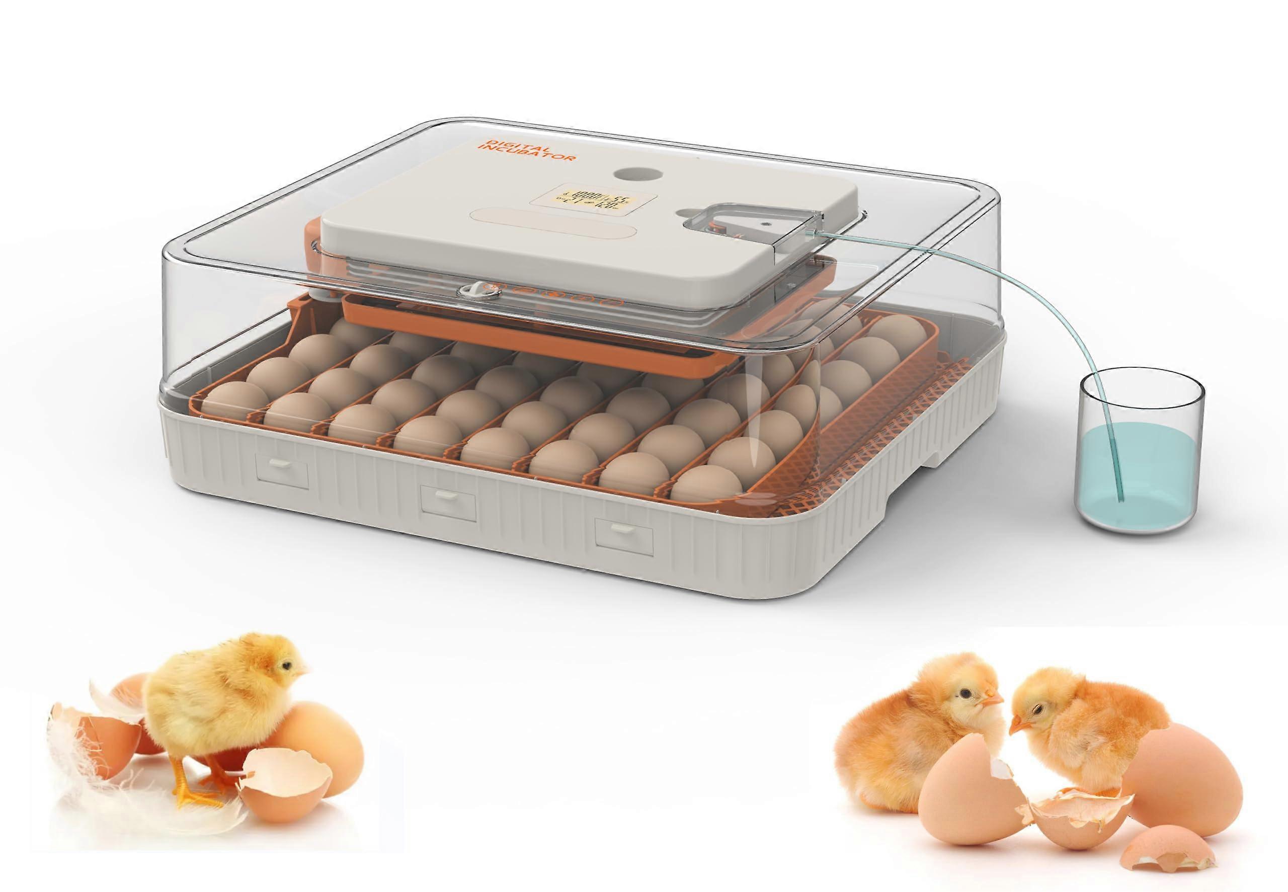 Automatic Egg Incubator 56 Eggs with Temperature and Humidity Control, Auto Turning, Egg Candler