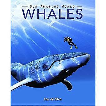 Ballenas: Fotos increíbles y datos divertidos sobre los animales en la naturaleza
