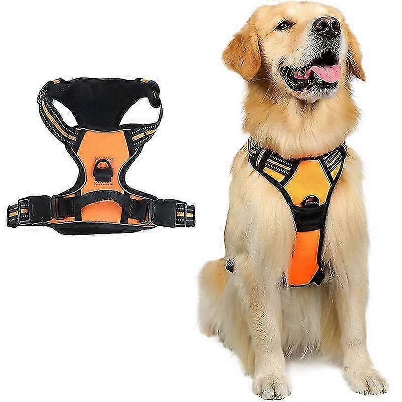 Adjustable No-Pull Dog Harness with Soft Padding and Control Handle
