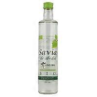 Birch Sap 500 ml