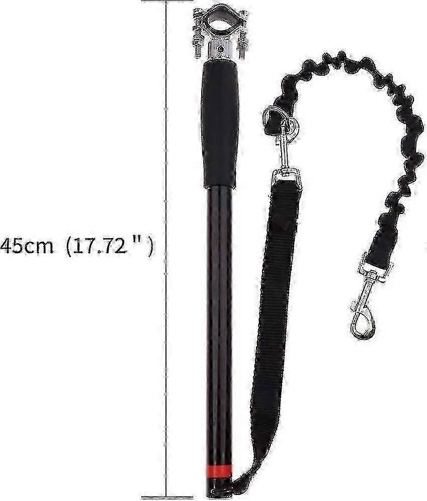 Versatile Dog Leash for Training Exercise and Daily Use