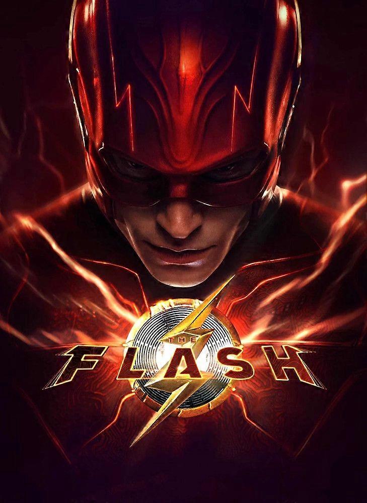 FLASH SUPERHELDEN Puzzels TD985