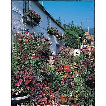 White Cottage Jigsaw Puzzle TU307